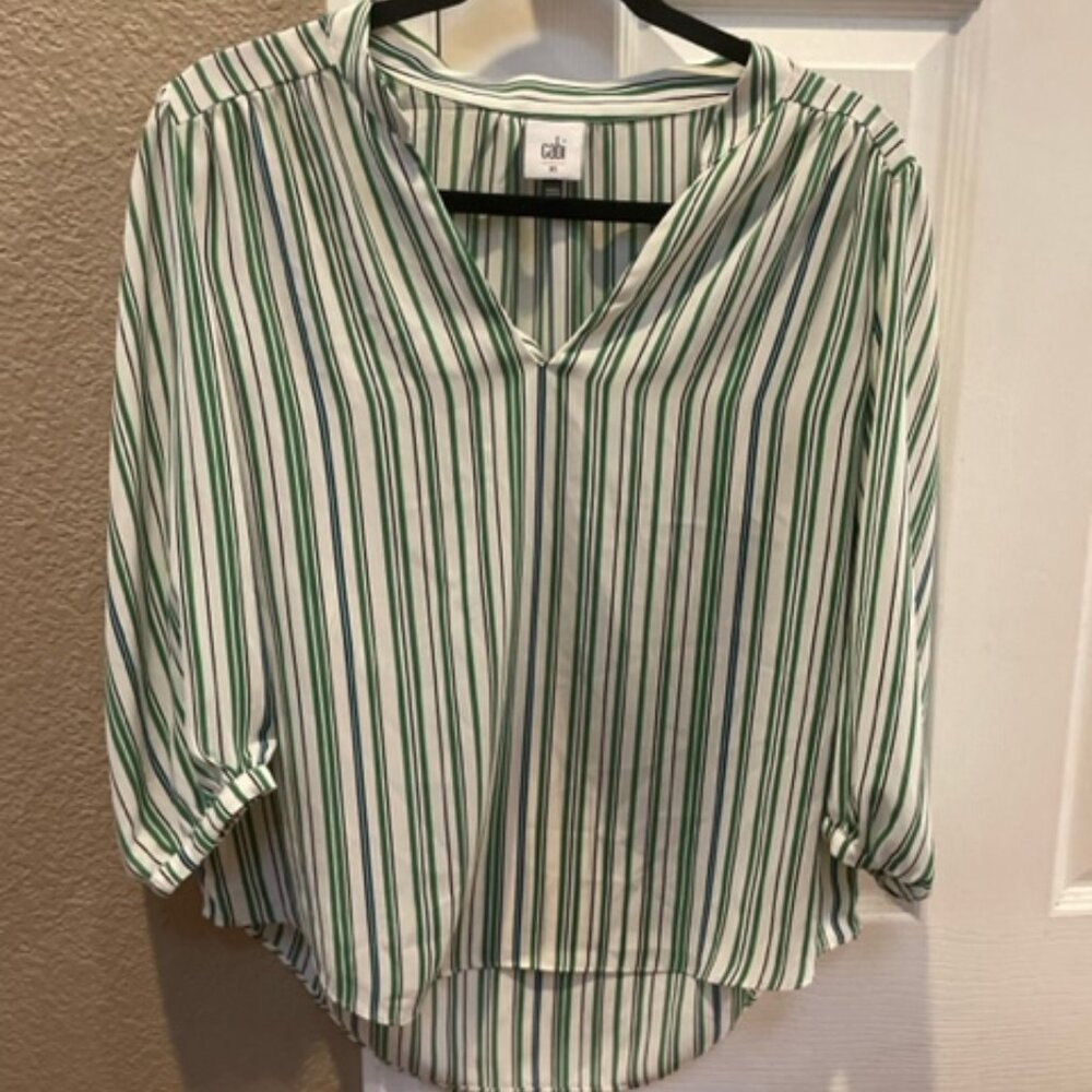 CAbi blouse
